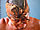 Click for more info about this artist Click for more info about this artist