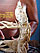Click for more info about this artist Click for more info about this artist