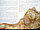 Click for more info about this artist Click for more info about this artist